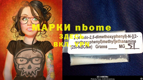 стаф Зеленокумск