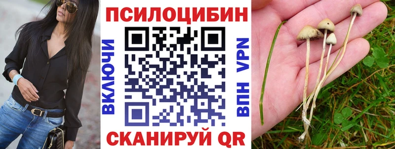 Купить  Курганинск  Псилоцибиновые грибы MAGIC MUSHROOMS 